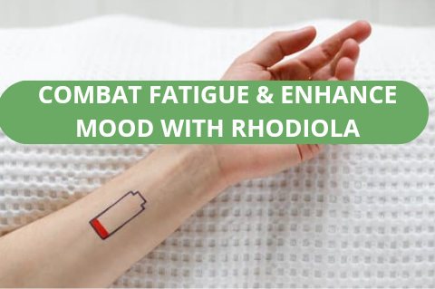 Finding Your Balance: Combat Fatigue and Enhance Mood with Rhodiola This August