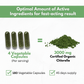 Chlorella Capsules Organic